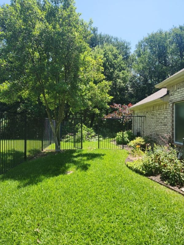 Gallery photos for Enhance Your Yard with Expert Tree Trimming: Image #3