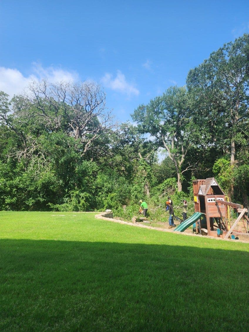 Project Efficient Tree Removals in Flower Mound image