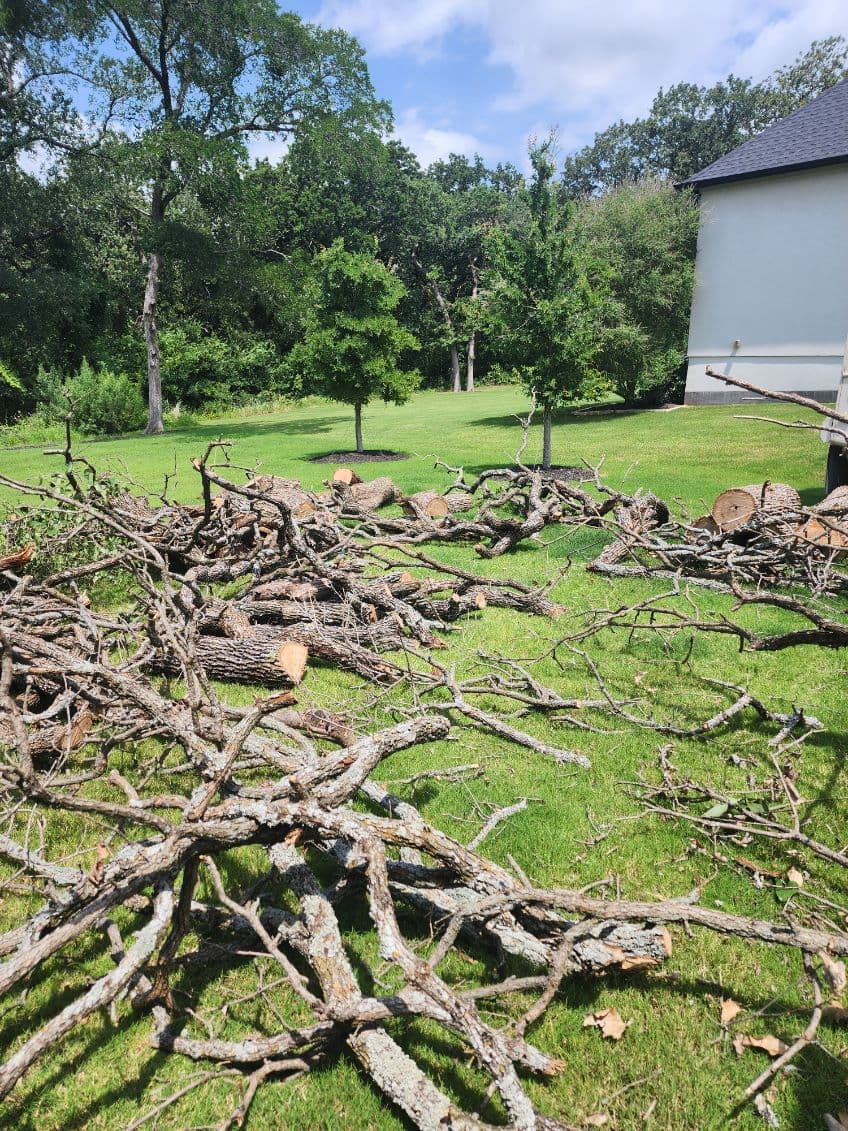 Gallery photos for Efficient Tree Removals in Flower Mound: Image #2