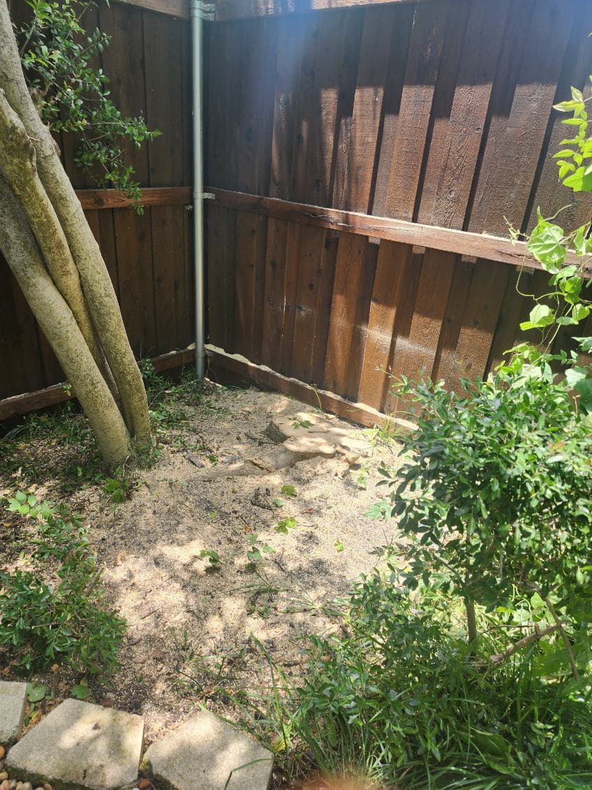 Gallery photos for Highland Park Tree Care Ensures Safety and Style: Image #2