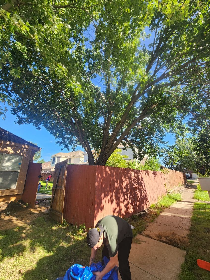 Gallery photos for Expert Tree Removal Services for a Safer Home: Image #1