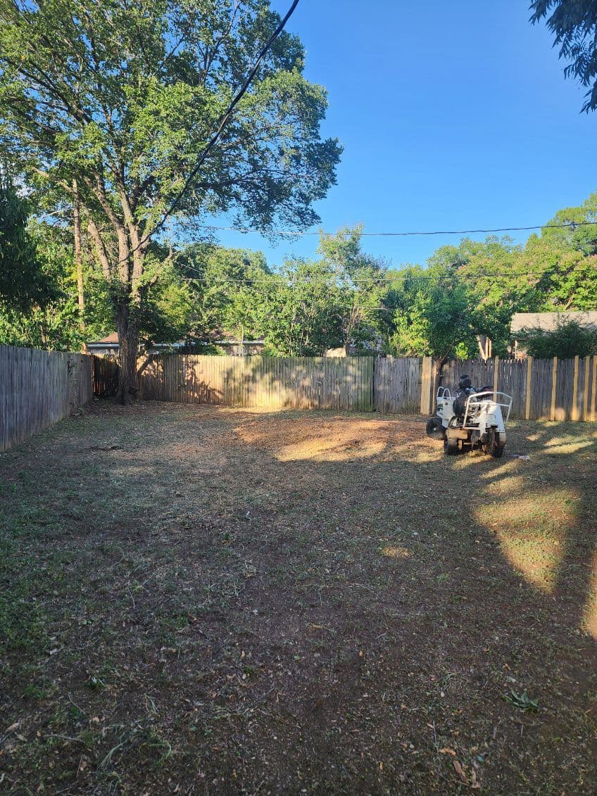Gallery photos for Tree Removal and Pruning Service Yields Stunning Results: Image #1