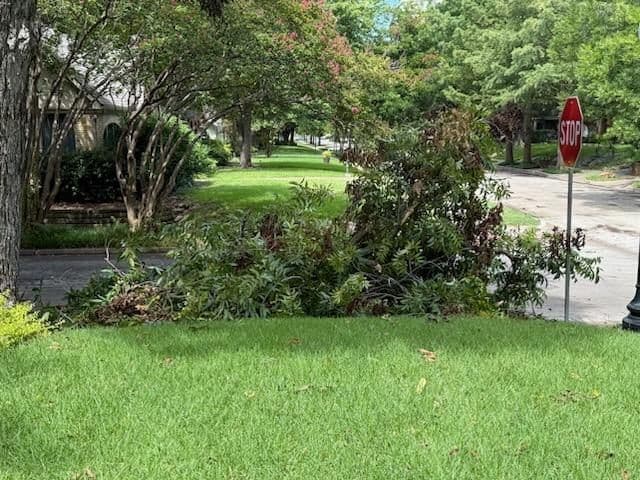 Swift Storm Damage Tree Recovery image