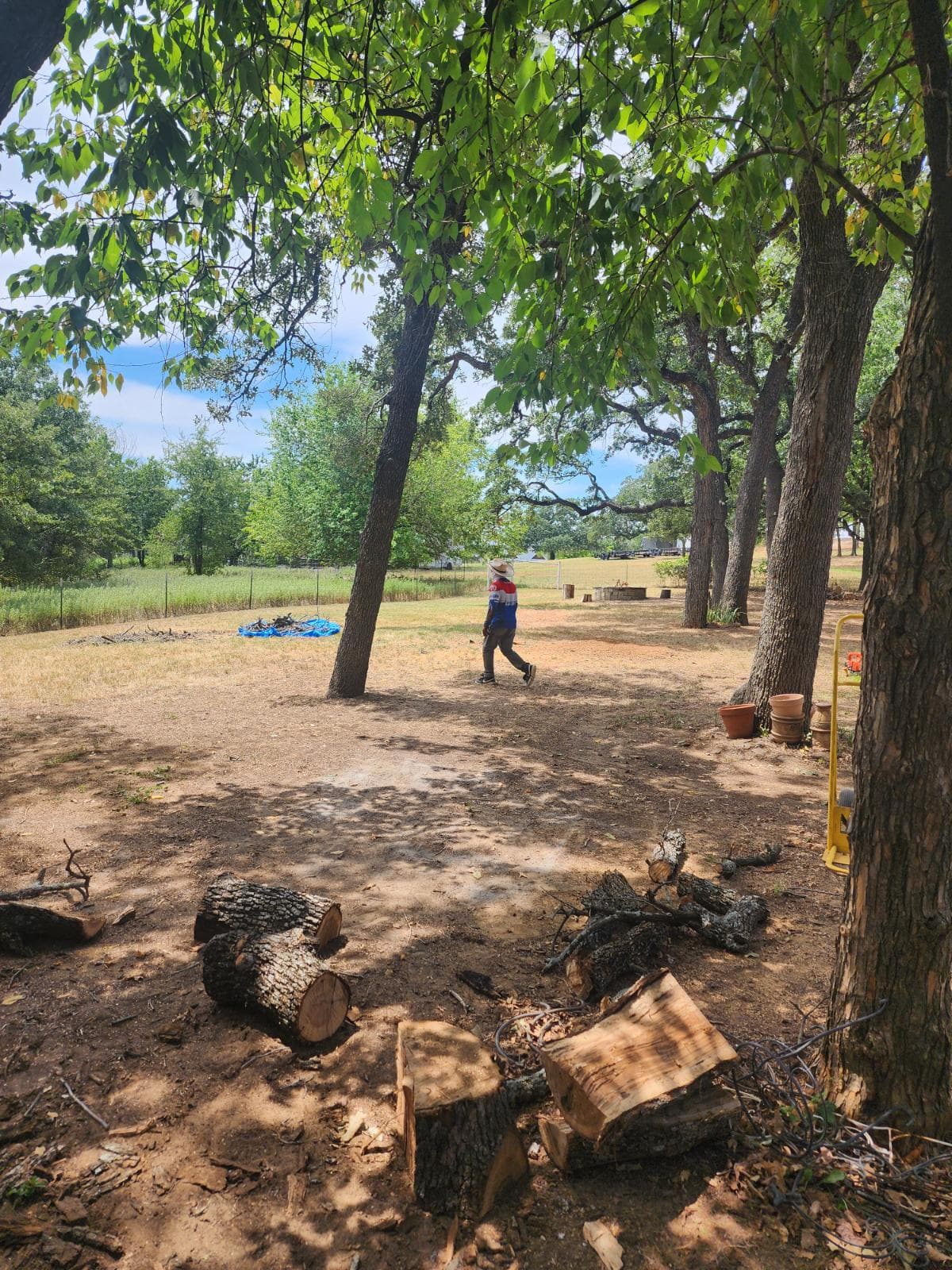 Expert Tree Cleanup in Argyle Texas image