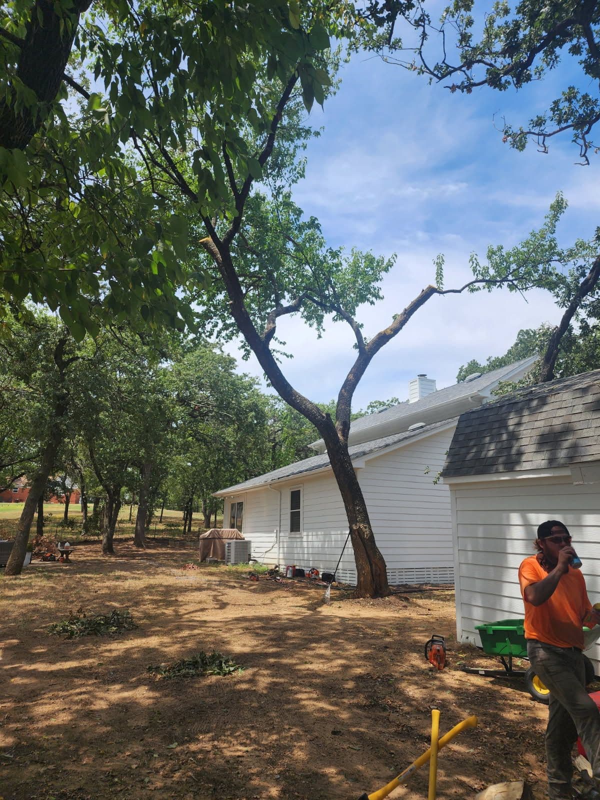 Gallery photos for Expert Tree Cleanup in Argyle Texas: Image #1