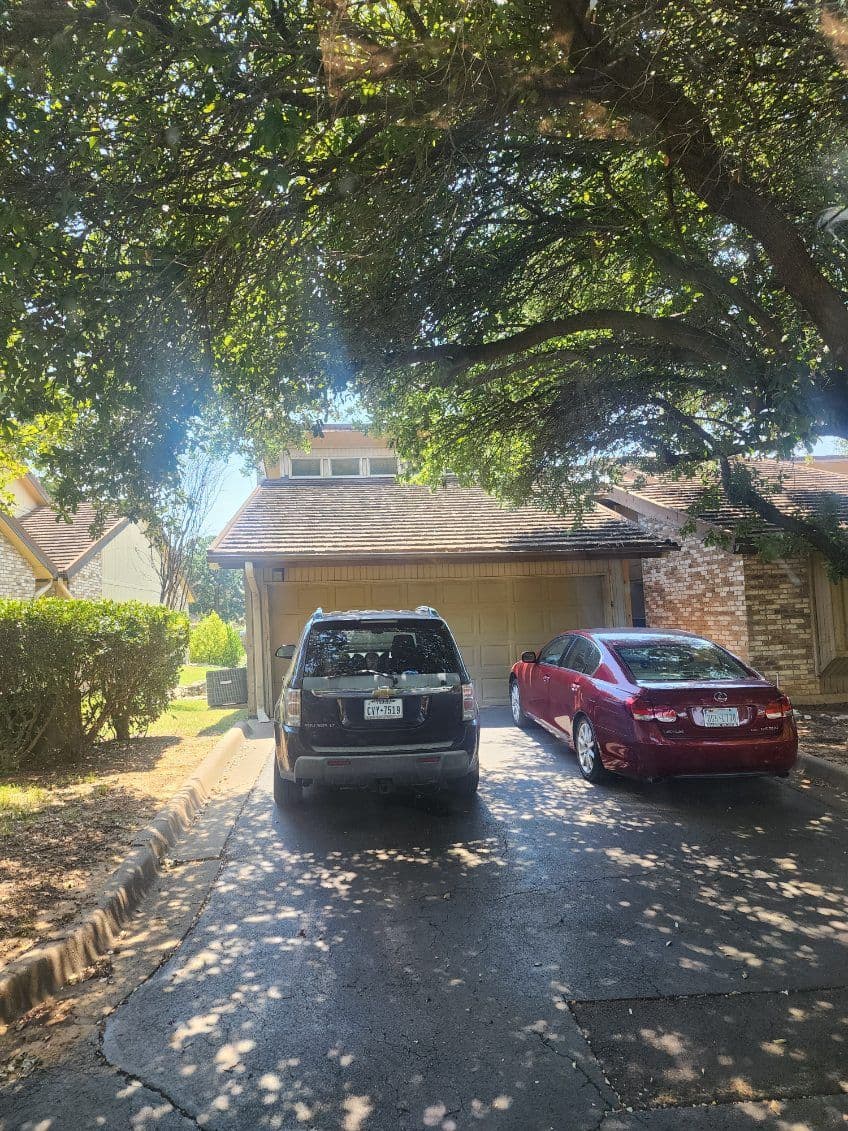 Expert Tree Trimming for Safer Homes in Fort Worth image