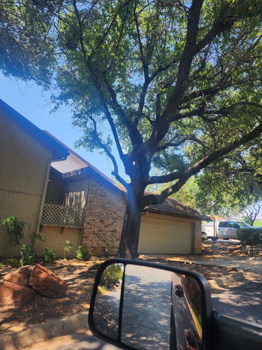 Gallery photos for Expert Tree Trimming for Safer Homes in Fort Worth: Image #1
