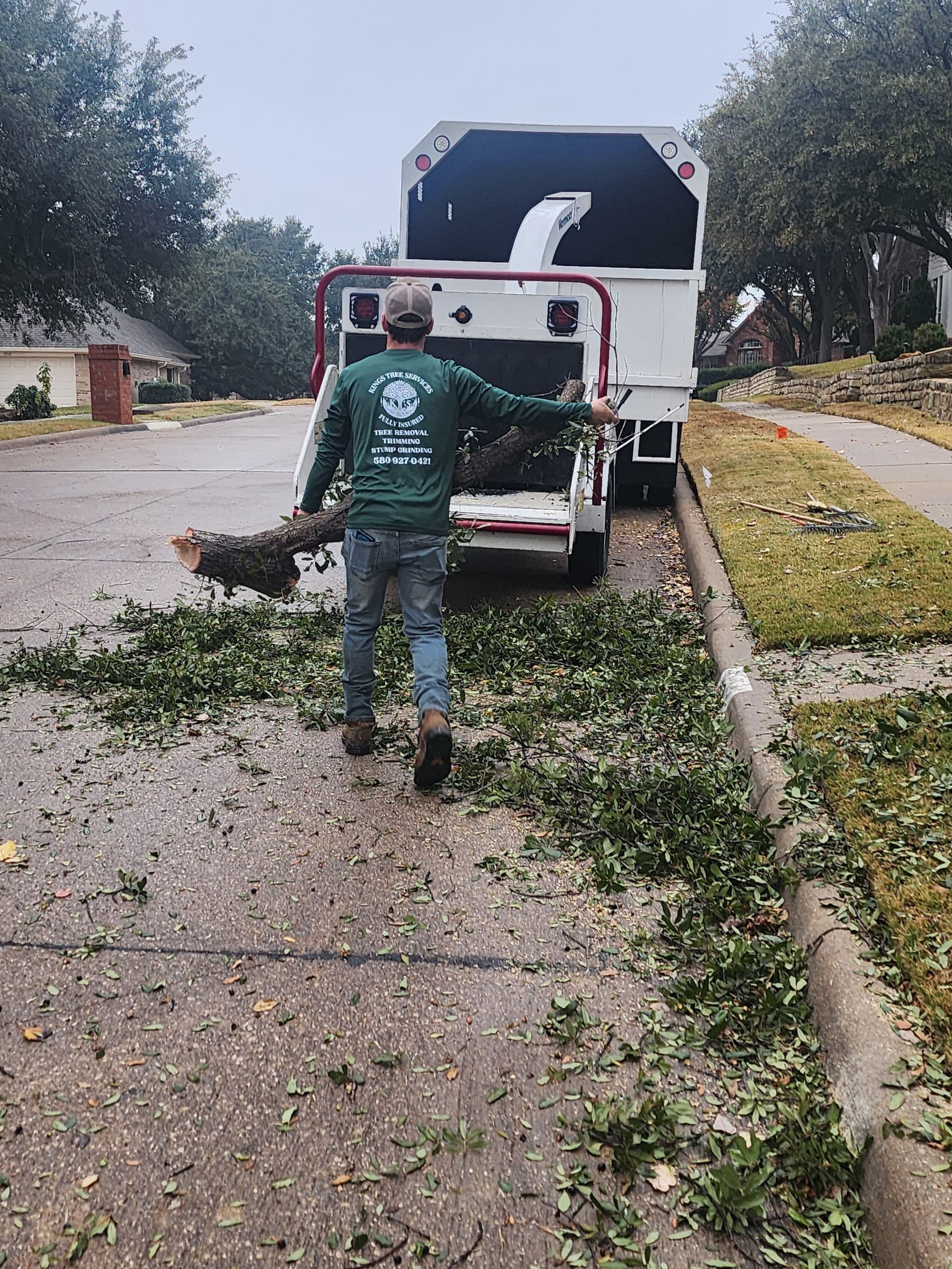 Gallery photos for Seamless Live Oak Removal in Las Colinas: Image #2