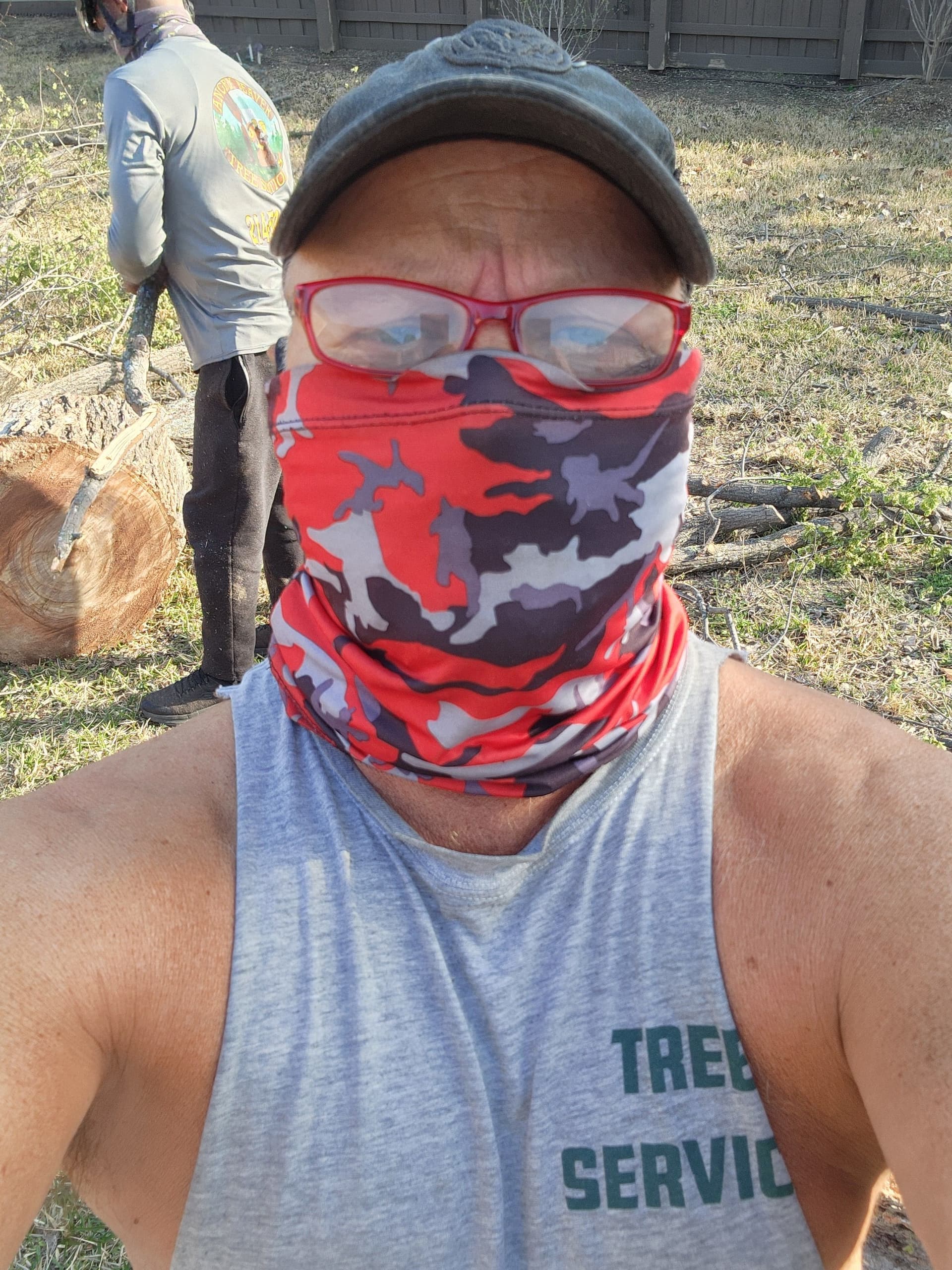 Gallery photos for Precision Tree Care in Action: Image #3