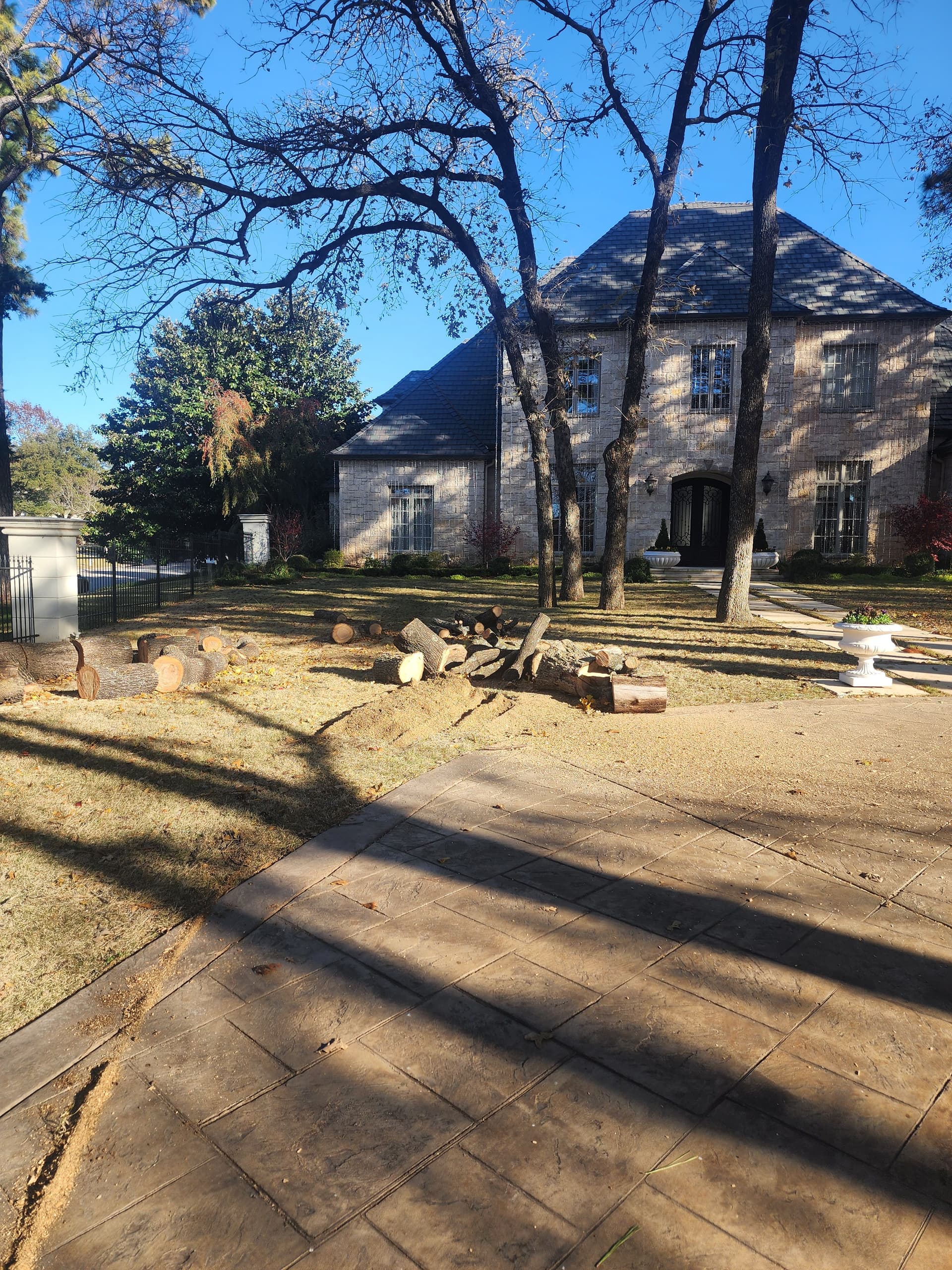 Efficient Tree Removal in Flower Mound image