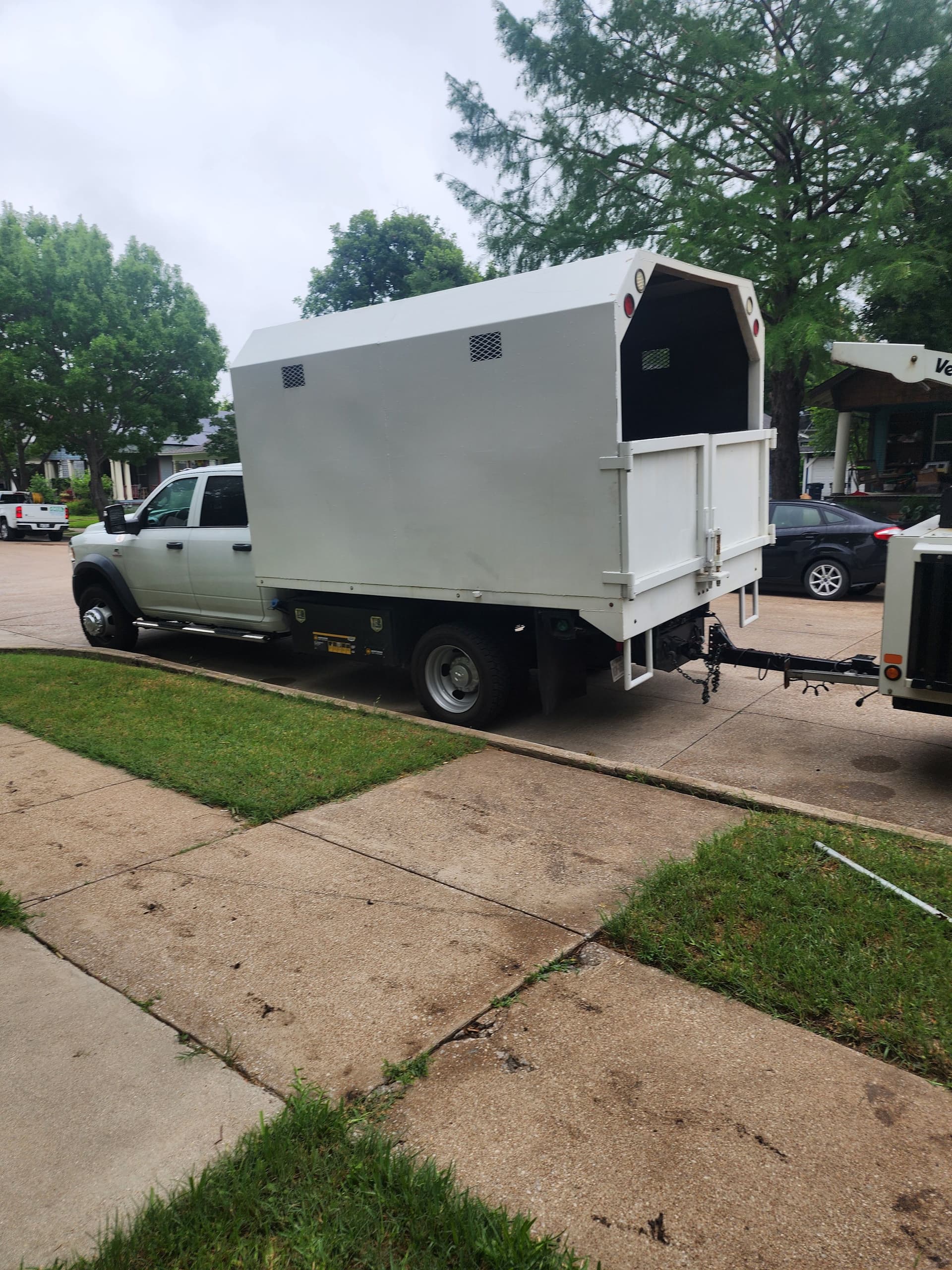 Gallery photos for Large Elm Tree Removal Done Right - Cut, Chipped, and Hauled Off: Image #2