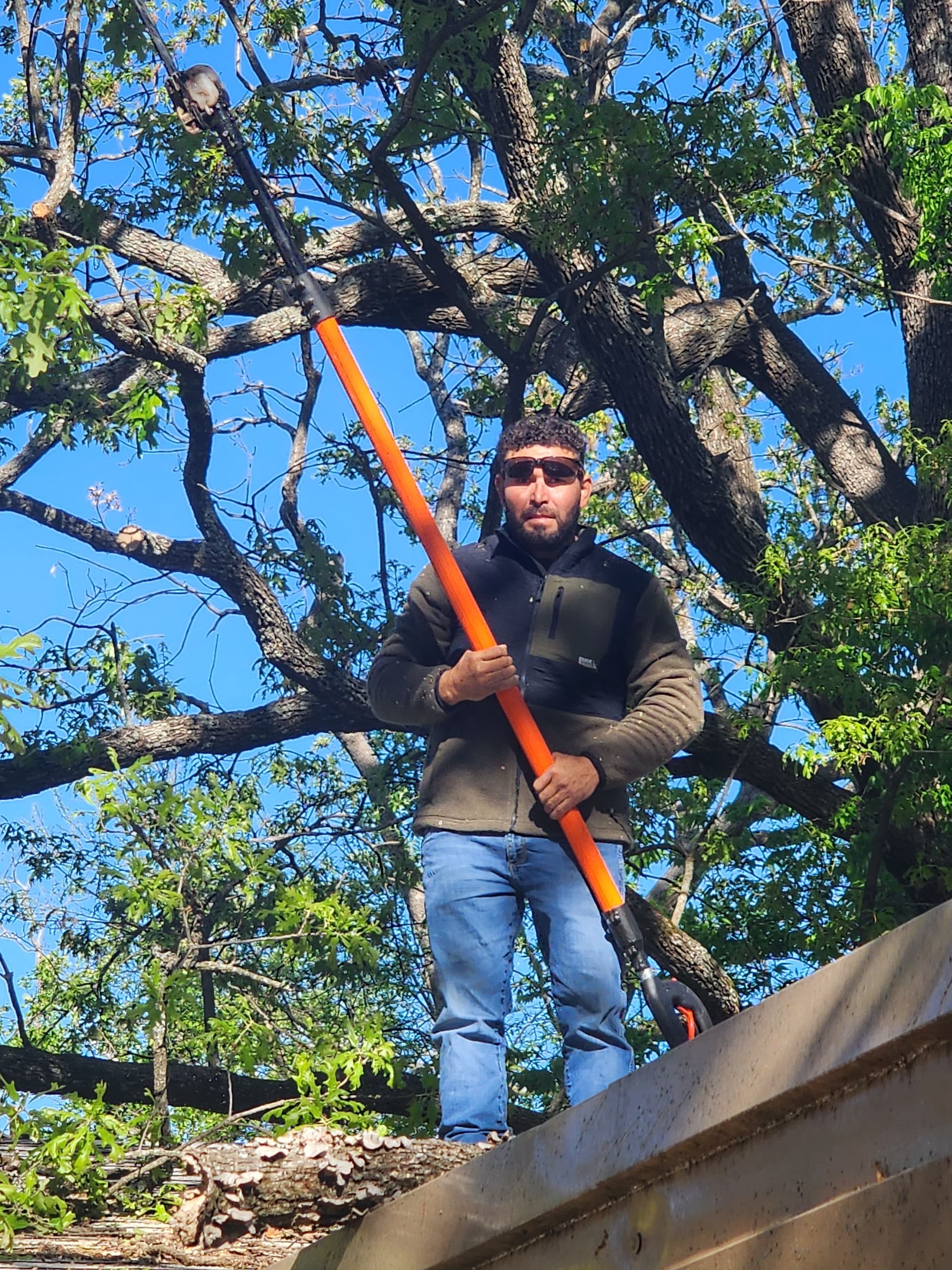 Gallery photos for Pruning Overhanging Limbs Right Off a Roof: Image #1