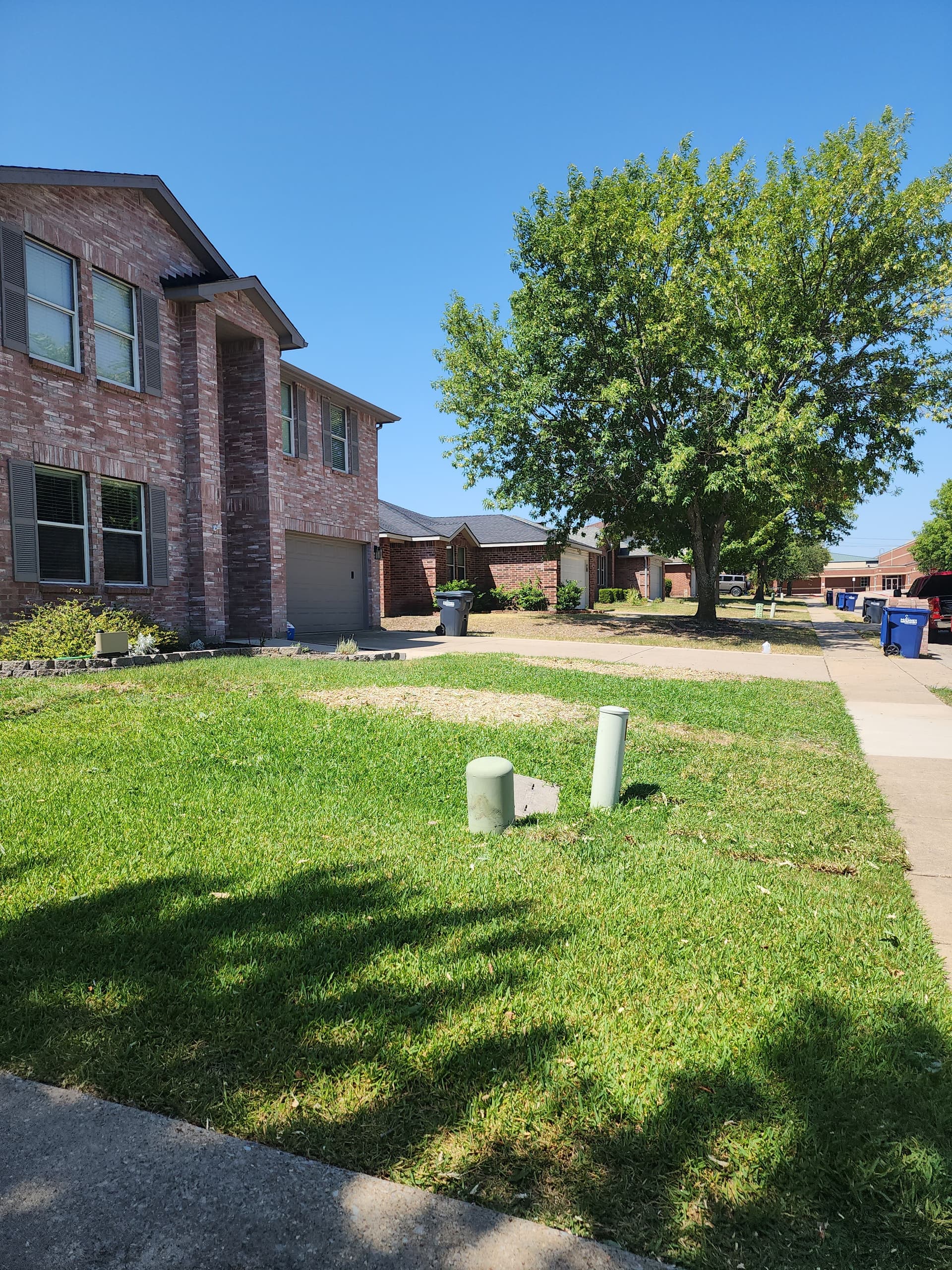 Gallery photos for Silverleaf Maple Removal Done Right in McKinney: Image #2