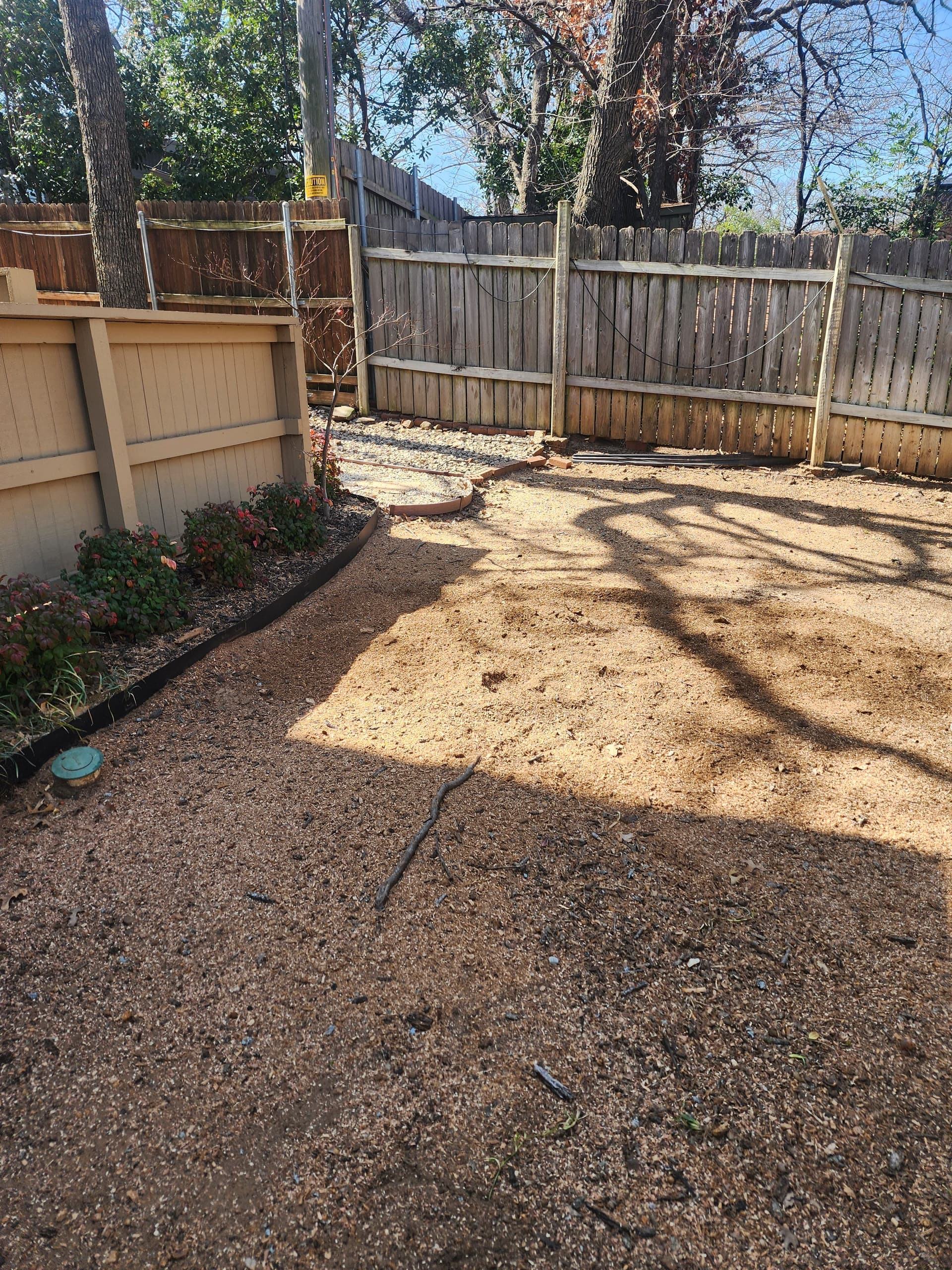 Safe Tree Removal and Cleanup in Ft. Worth image