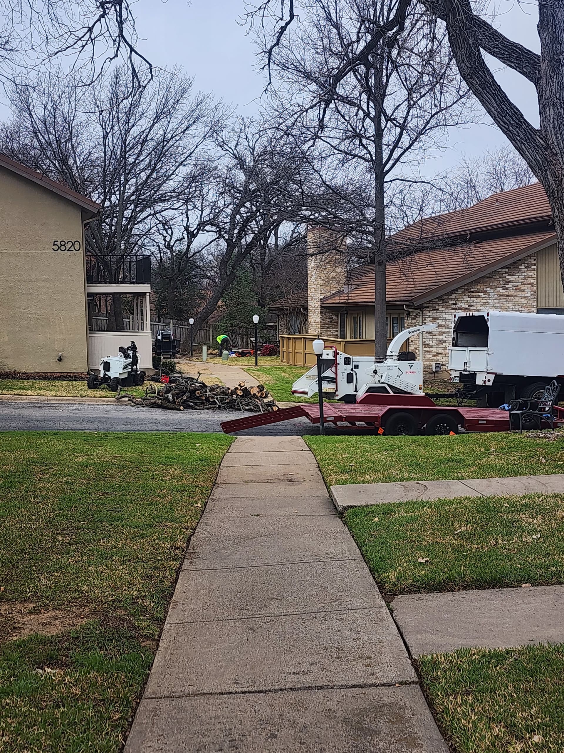 Gallery photos for Safe Tree Removal and Cleanup in Ft. Worth: Image #2
