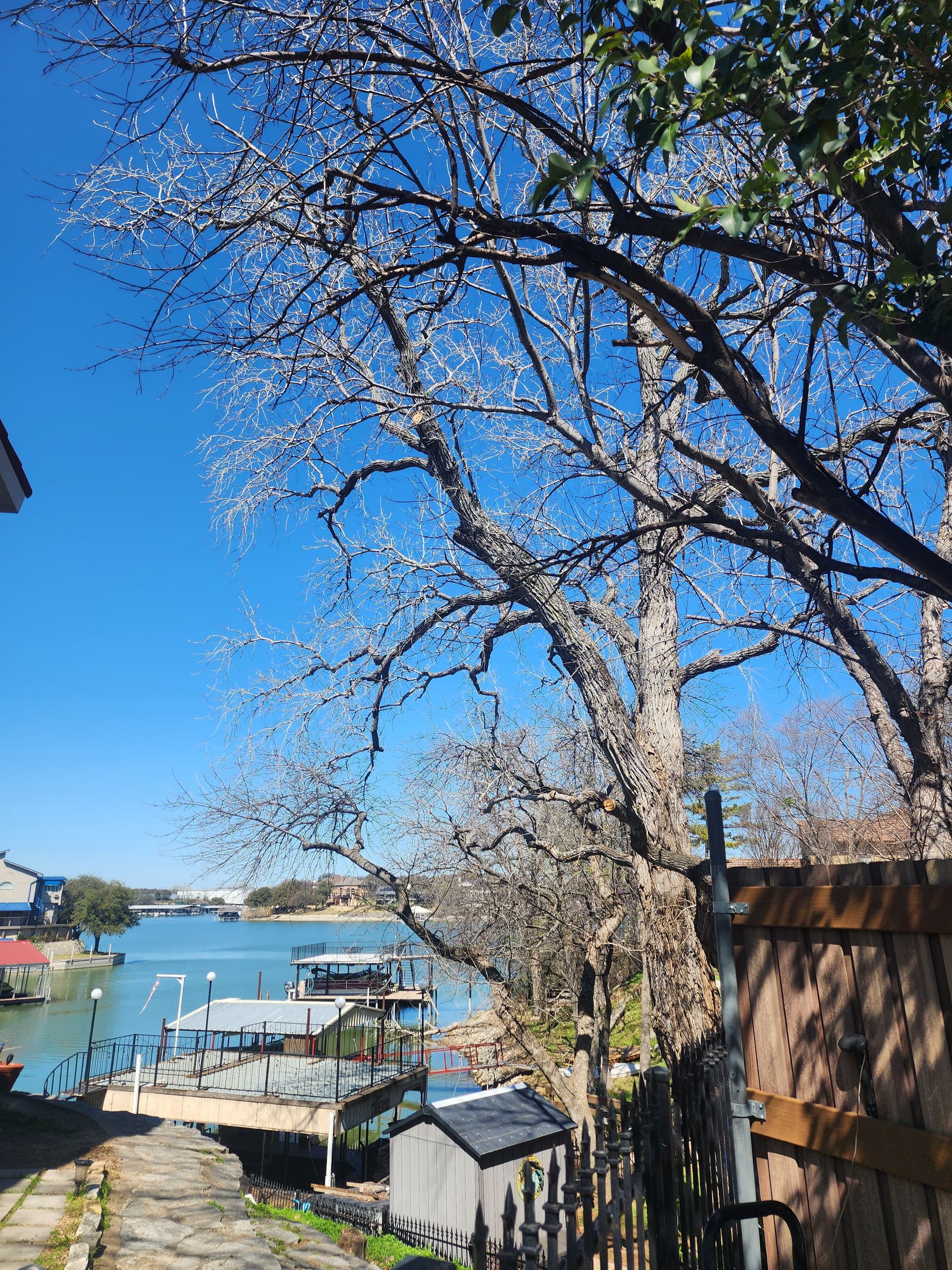Tree Trimming at Eagle Mountain Lake to Enhance Your Views image