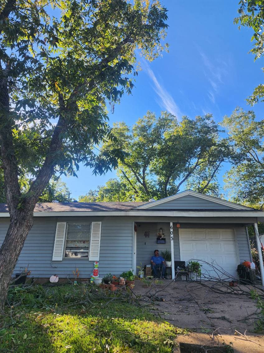 Transformed Trees by Burris Tree Service image