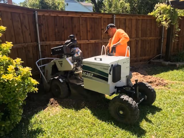 Stump Grinding by Burris Tree Service