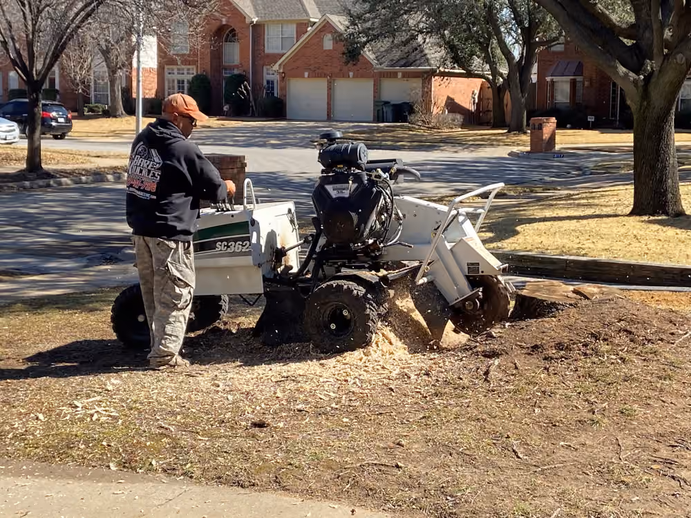 Burris Tree Service crew member grinding a stump