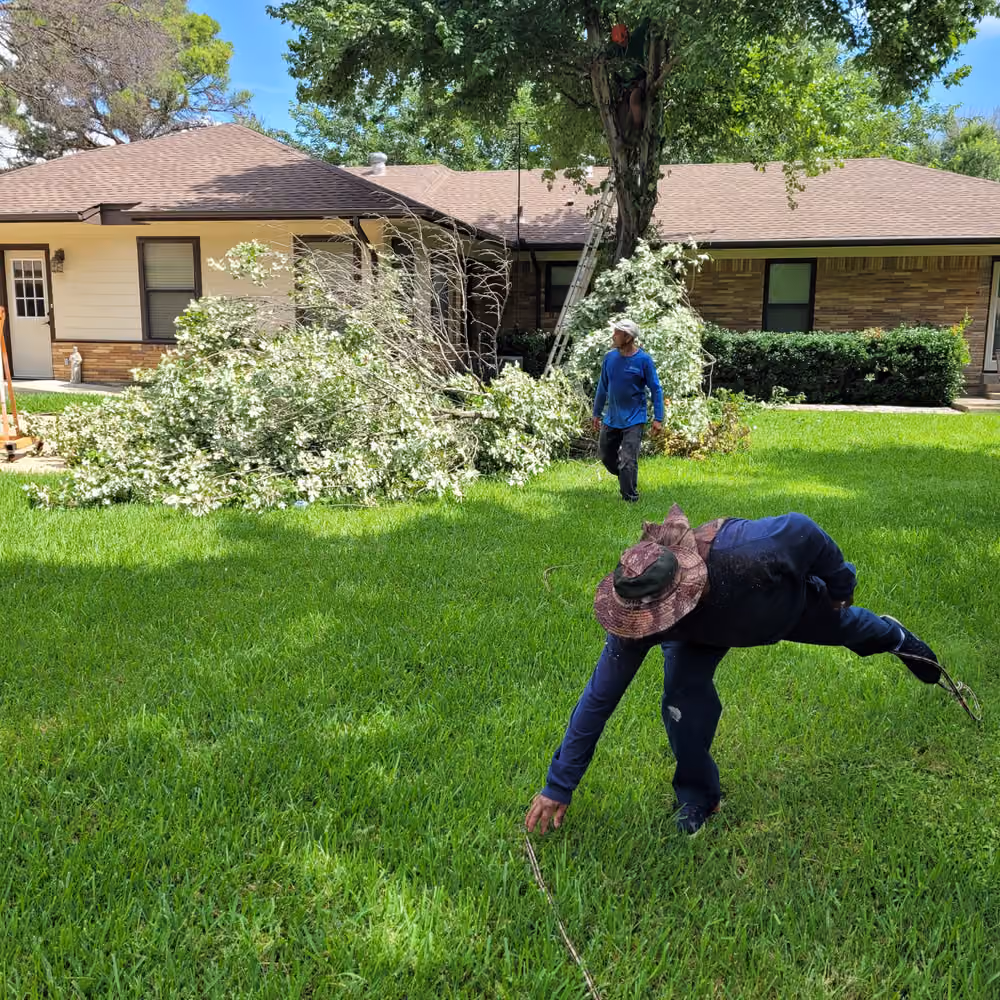 Two men clearing branches in a green yard with a house in the background on a sunny day.