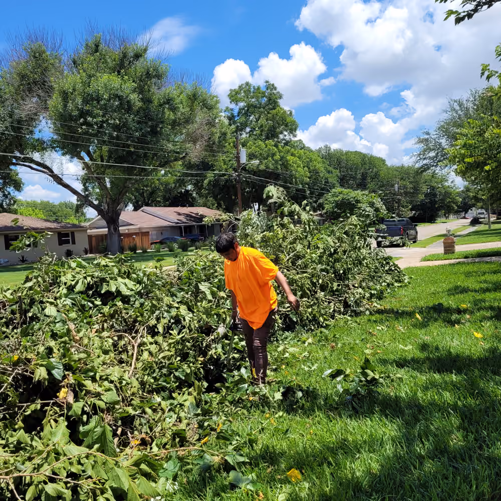 Storm Damage And Disaster Tree Service by Burris Tree Service