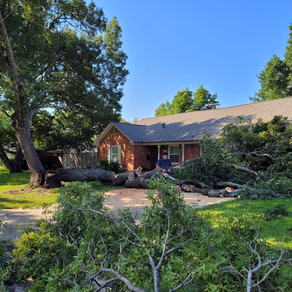 Tree removal service at residential home with large fallen tree branches in yard.